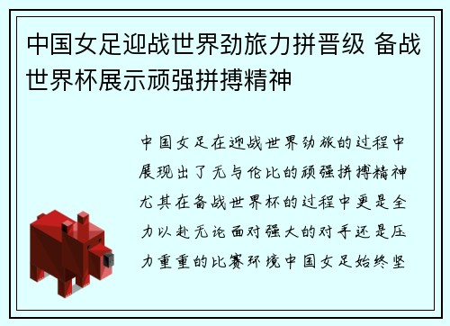 中国女足迎战世界劲旅力拼晋级 备战世界杯展示顽强拼搏精神