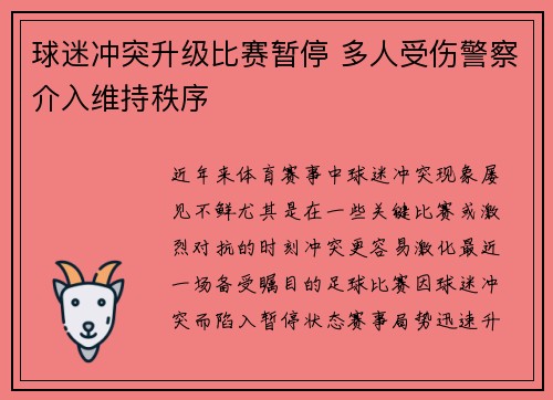 球迷冲突升级比赛暂停 多人受伤警察介入维持秩序