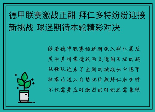 德甲联赛激战正酣 拜仁多特纷纷迎接新挑战 球迷期待本轮精彩对决