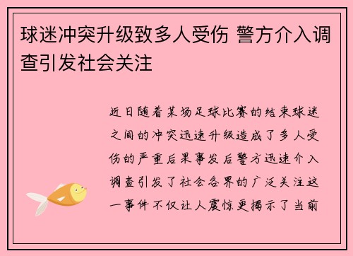 球迷冲突升级致多人受伤 警方介入调查引发社会关注